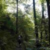09 b Schluchensteig Etappe 4 - 6